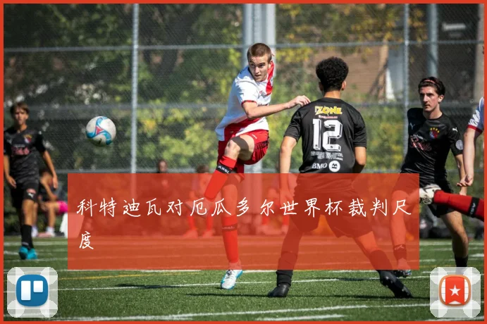 科特迪瓦对厄瓜多尔世界杯裁判尺度