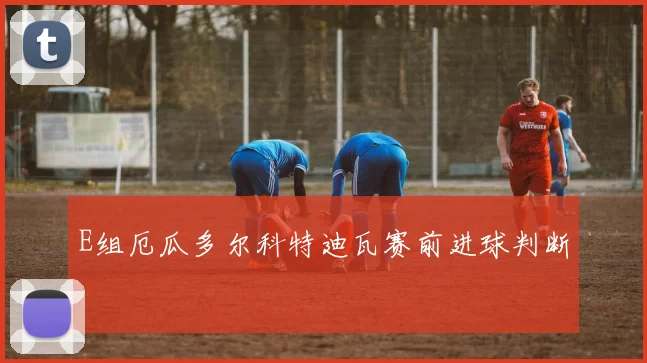 E组厄瓜多尔科特迪瓦赛前进球判断