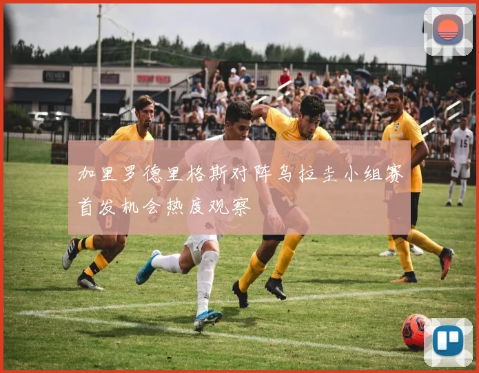 加里罗德里格斯对阵乌拉圭小组赛首发机会热度观察