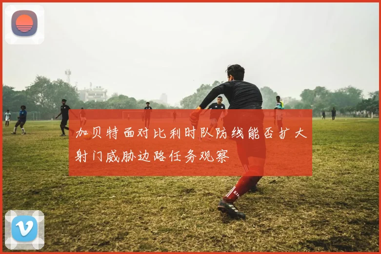 加贝特面对比利时队防线能否扩大射门威胁边路任务观察