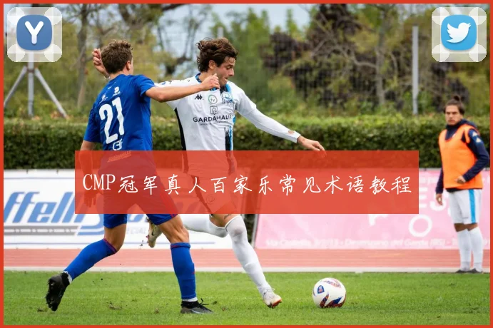 CMP冠军真人百家乐常见术语教程