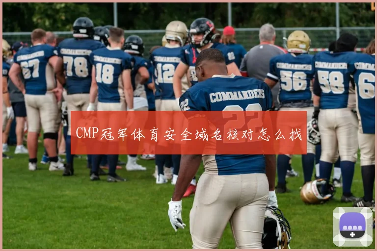 CMP冠军体育安全域名核对怎么找