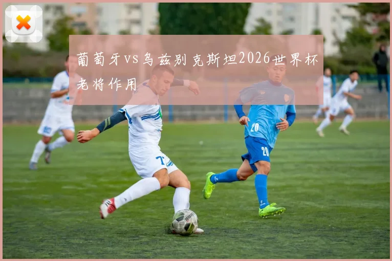 葡萄牙vs乌兹别克斯坦2026世界杯老将作用