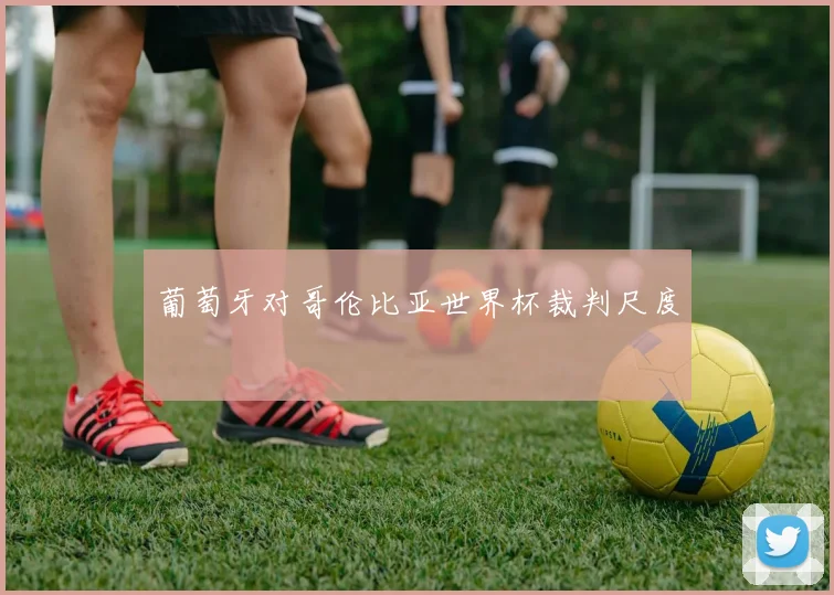 葡萄牙对哥伦比亚世界杯裁判尺度